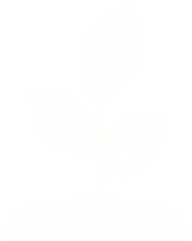 Maturity icon